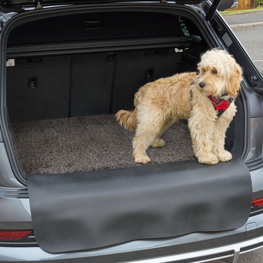 Car Protector Set Premium - Bar boot open with a dog poised to exit, a mat is protecting the bumper