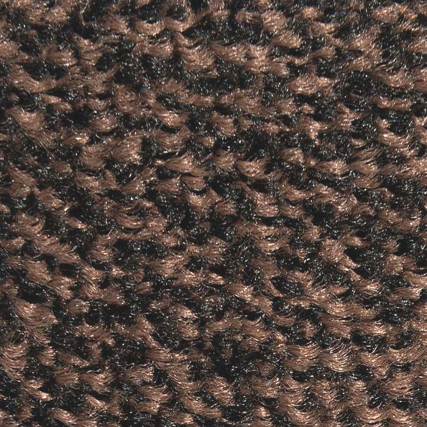 Iron-Horse - Black-Brown colour
